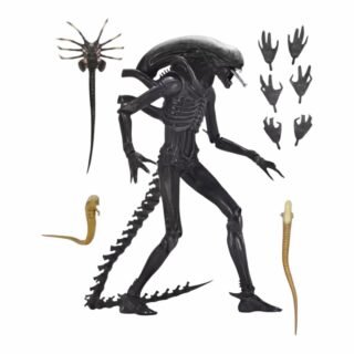 Figura Alien Romulus